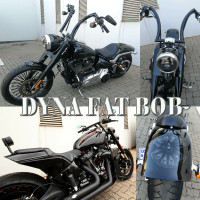 DYNA FAT BOB GROUP